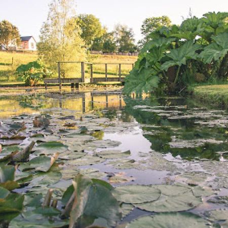 Defoes View Villa Honiton Bagian luar foto