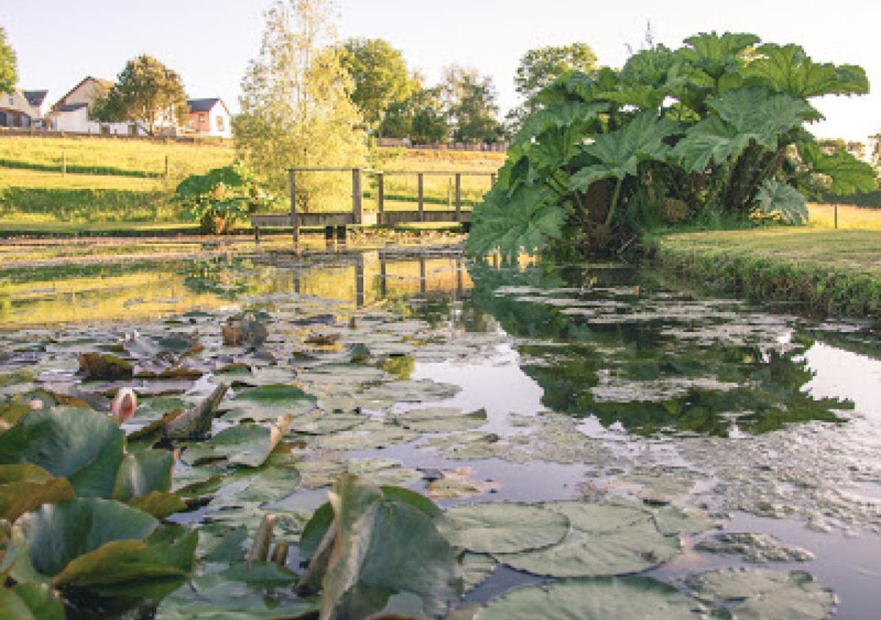 Defoes View Villa Honiton Bagian luar foto